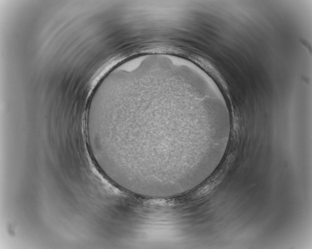 X0000102500855200808291710