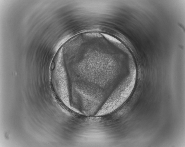 X0000102500858200808291710