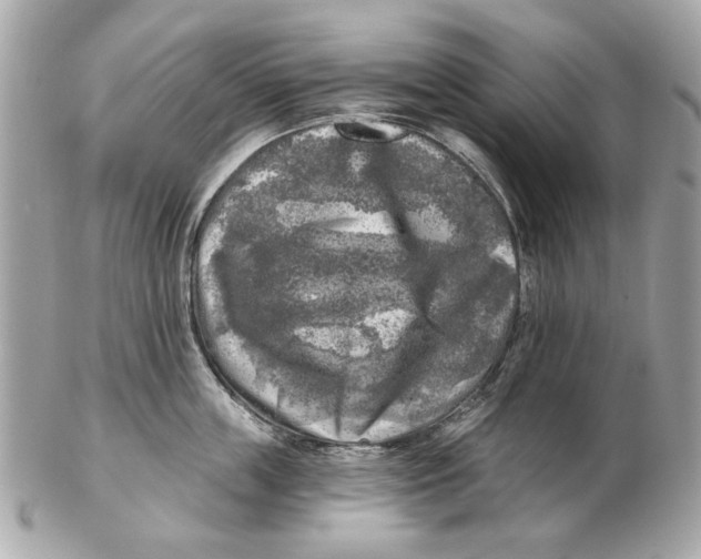 X0000102500859200808291710