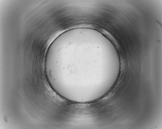 X0000102500860200808291710