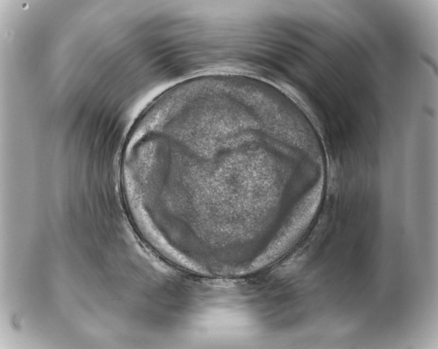 X0000102500862200808291710