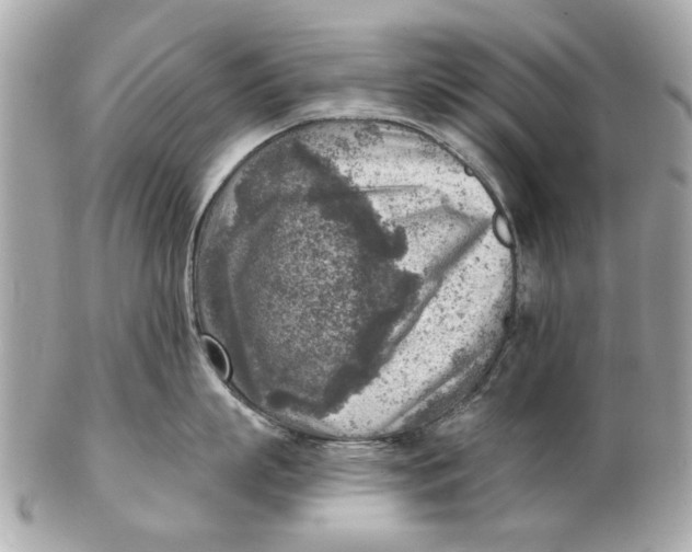 X0000102500863200808291710