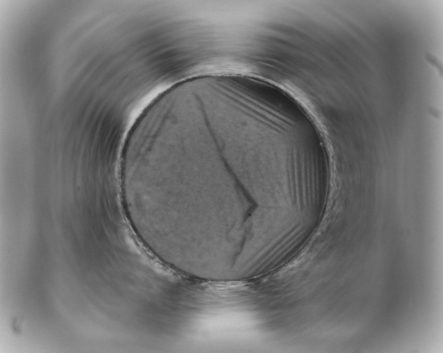 X0000102500864200808291710