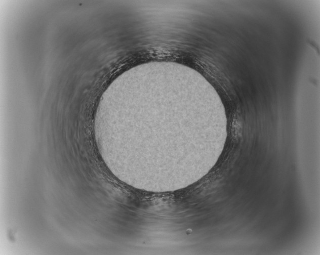 X0000102500865200808291709