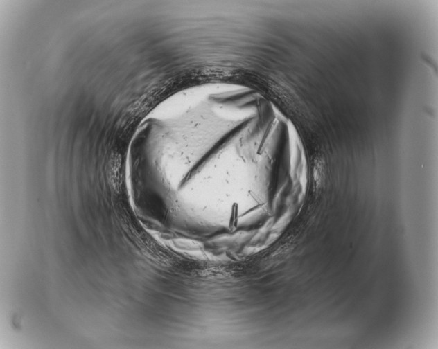 X0000102500867200808291709