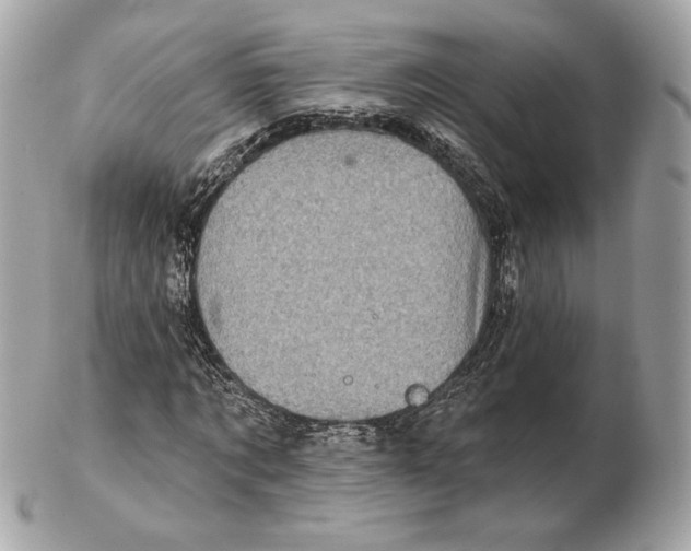 X0000102500869200808291709