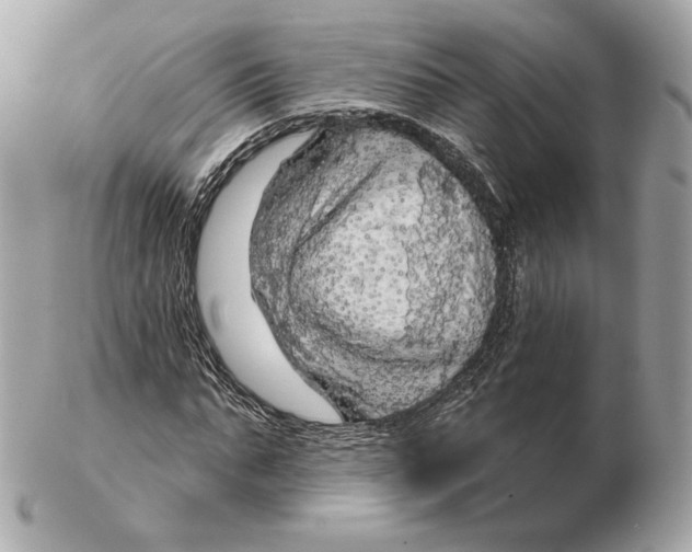 X0000102500871200808291709