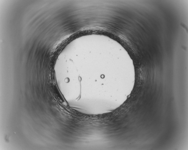 X0000102500872200808291709