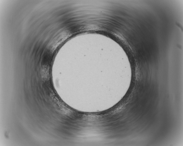 X0000102500873200808291709