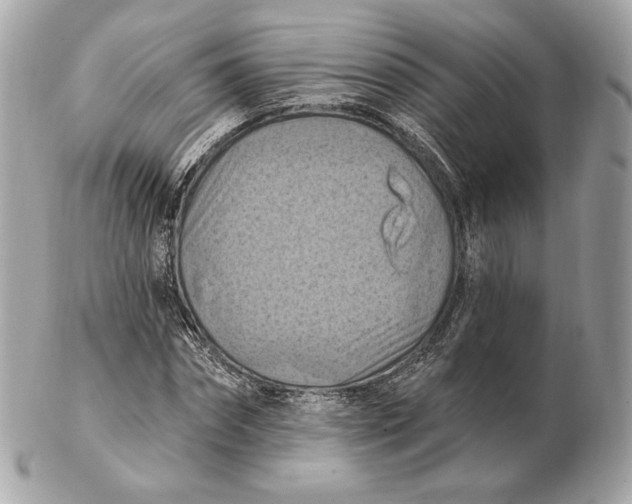 X0000102500874200808291709