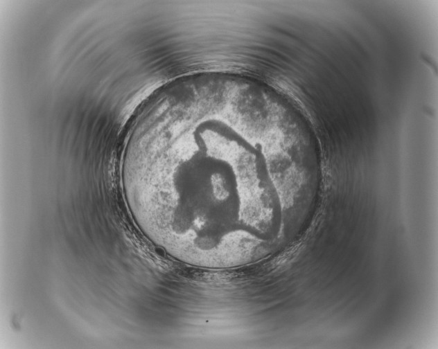 X0000102500875200808291709