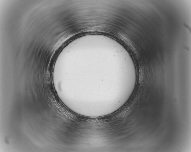 X0000102500876200808291709