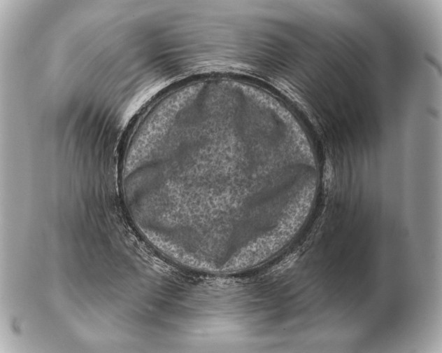 X0000102500877200808291709