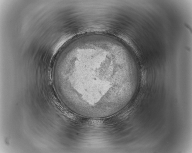 X0000102500878200808291709