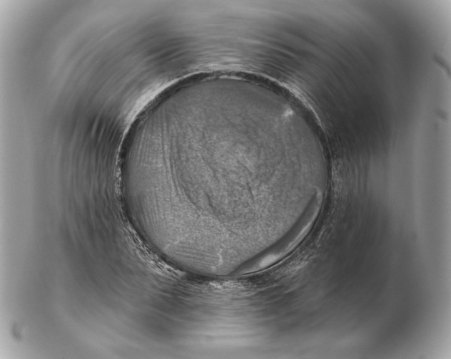 X0000102500879200808291709