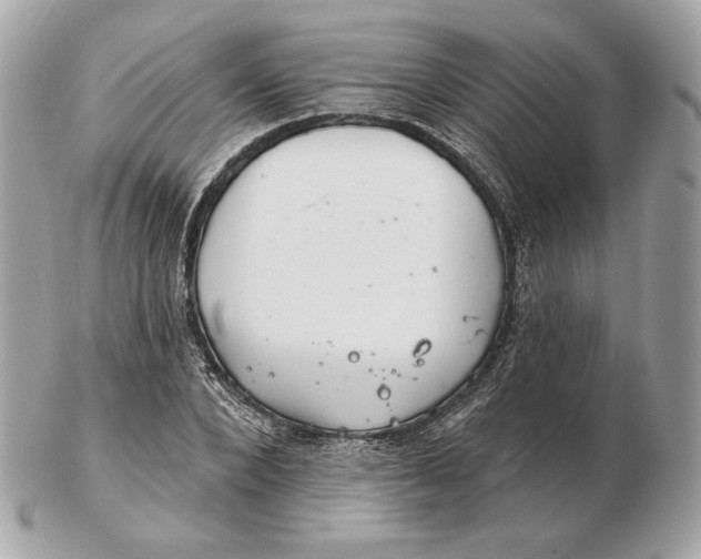 X0000102500880200808291709