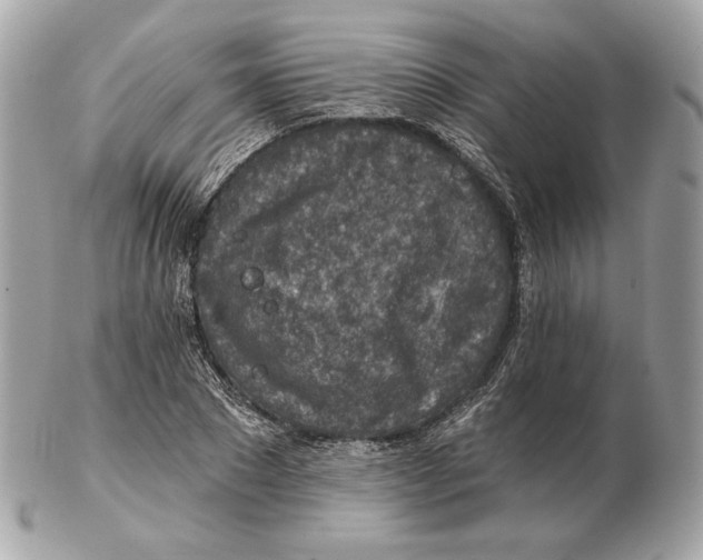 X0000102500881200808291709