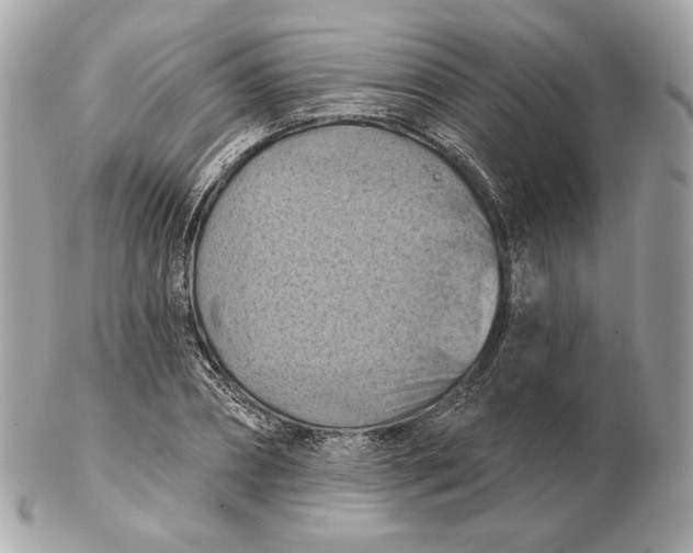 X0000102500882200808291709