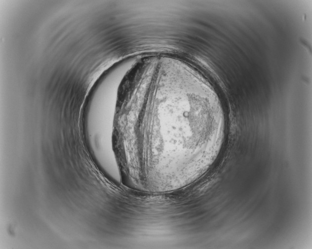 X0000102500883200808291709