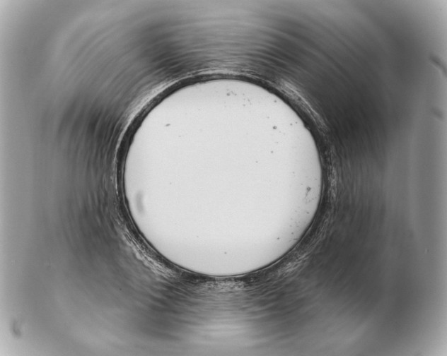 X0000102500884200808291709