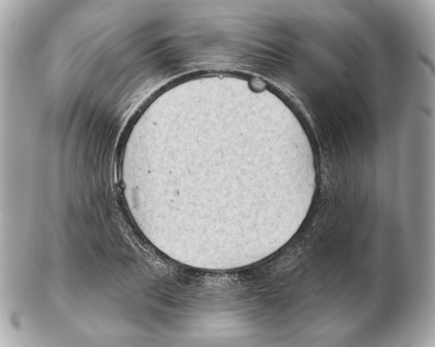 X0000102500887200808291709