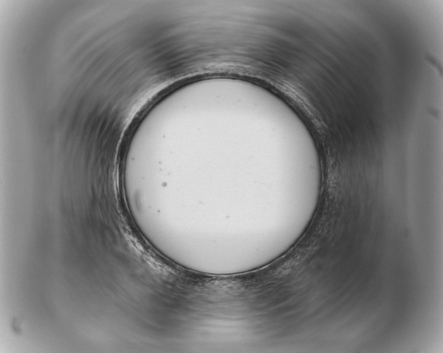 X0000102500888200808291709