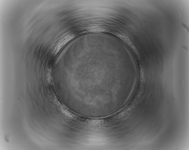 X0000102500889200808291709