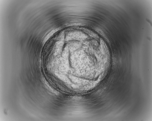 X0000102500890200808291709