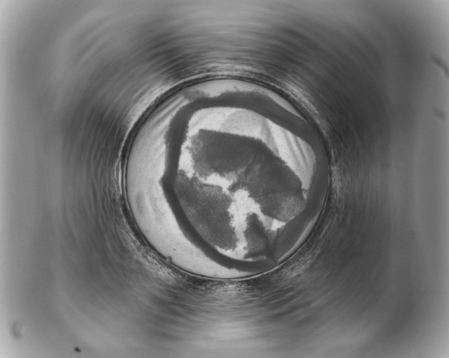 X0000102500891200808291709