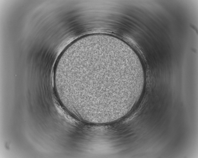 X0000102500892200808291709