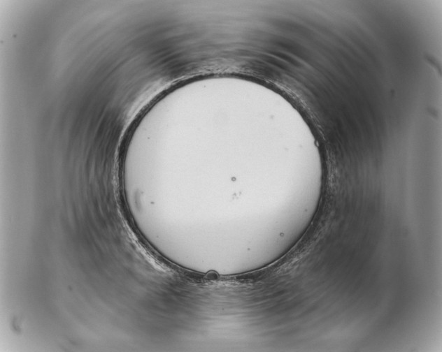 X0000102500894200808291709