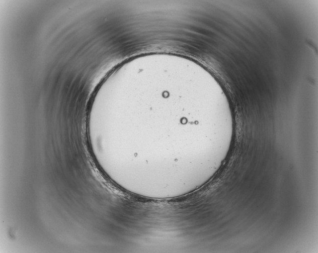 X0000102500896200808291709