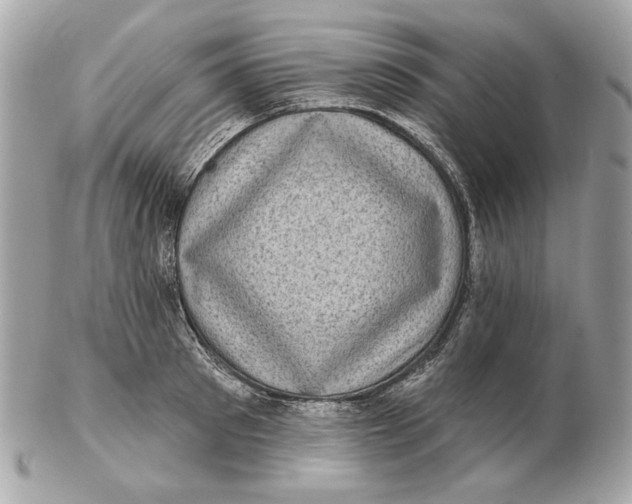 X0000102500897200808291709