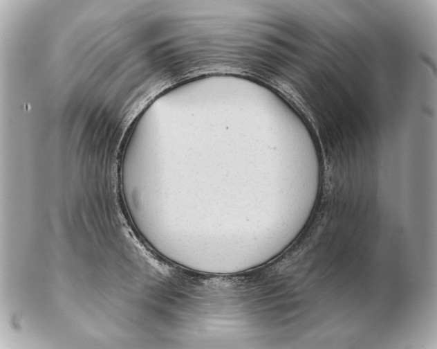 X0000102500898200808291709