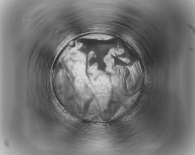 X0000102500899200808291709