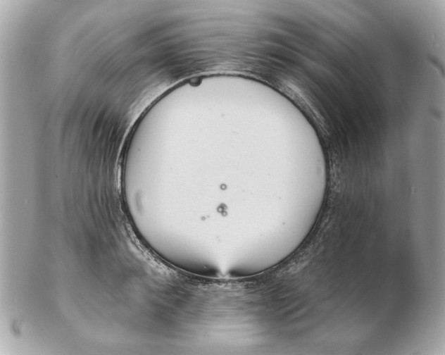 X0000102500900200808291709