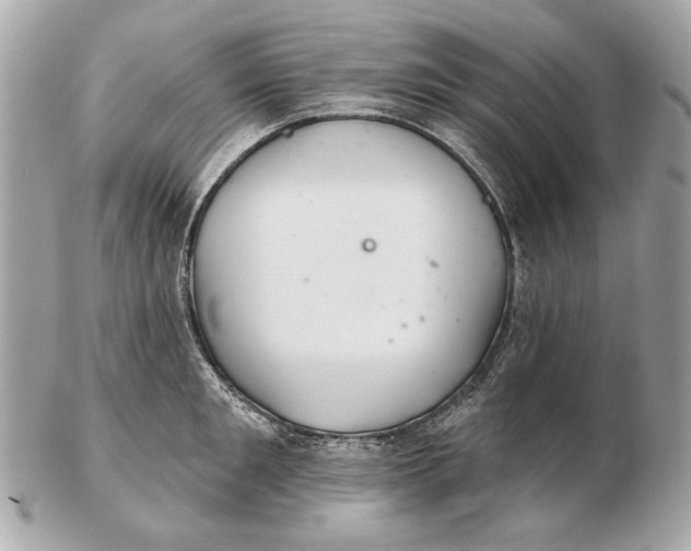 X0000102500901200808291709