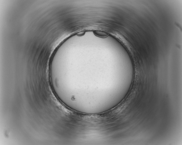 X0000102500902200808291709