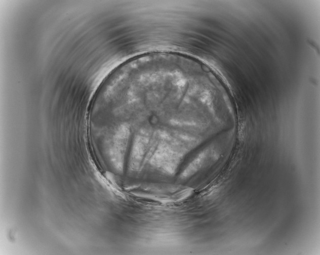 X0000102500903200808291709