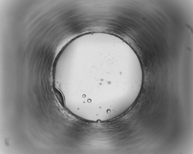 X0000102500904200808291709