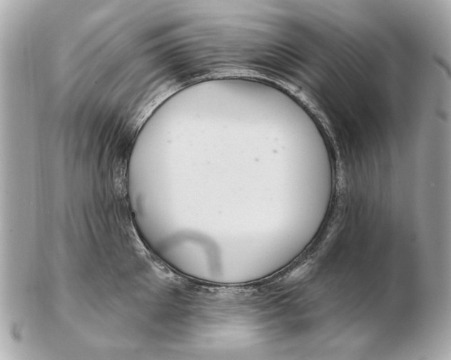 X0000102500905200808291709