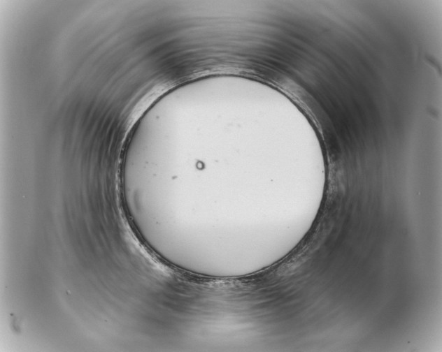 X0000102500906200808291709