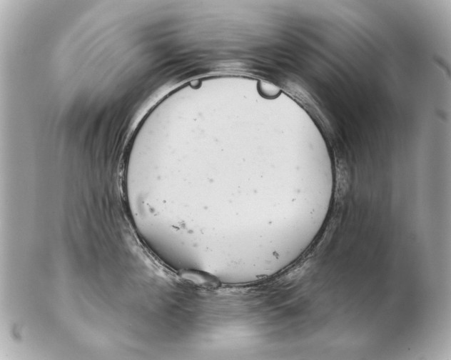 X0000102500908200808291709