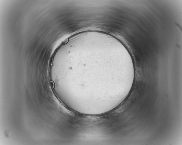 X0000102500910200808291709