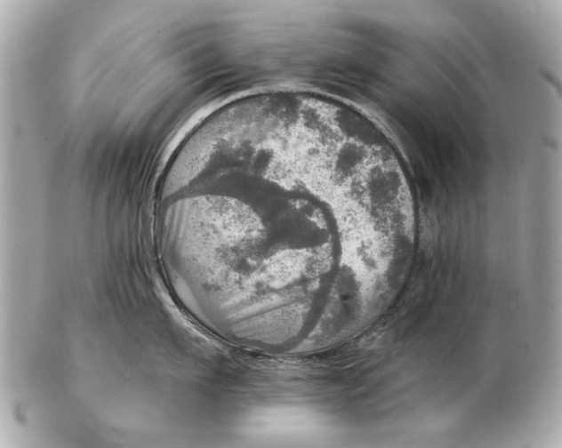 X0000102500911200808291709