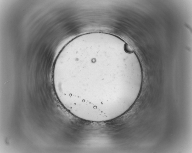 X0000102500912200808291709