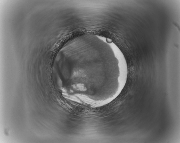 X0000102500913200808291708