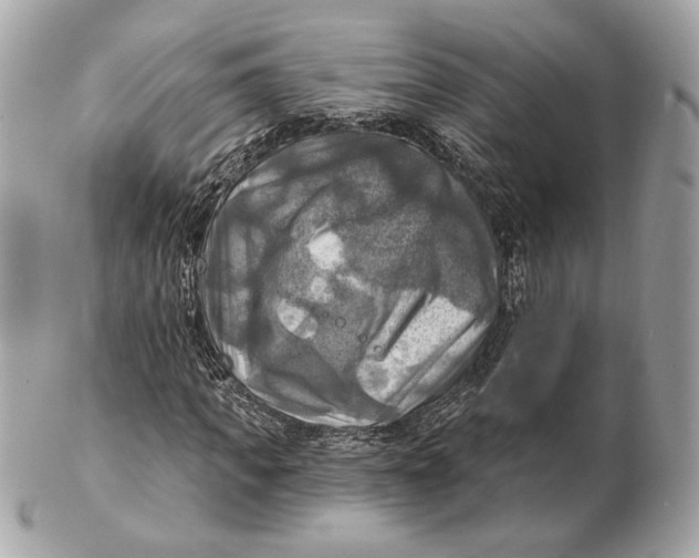 X0000102500917200808291708