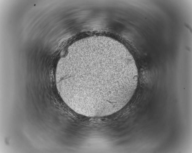 X0000102500918200808291708