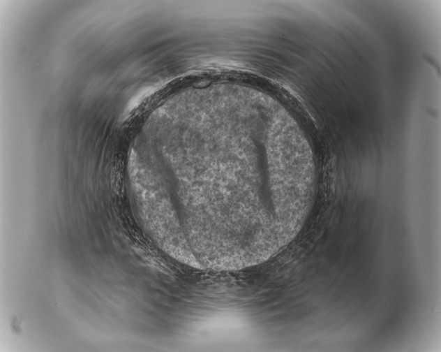 X0000102500919200808291708